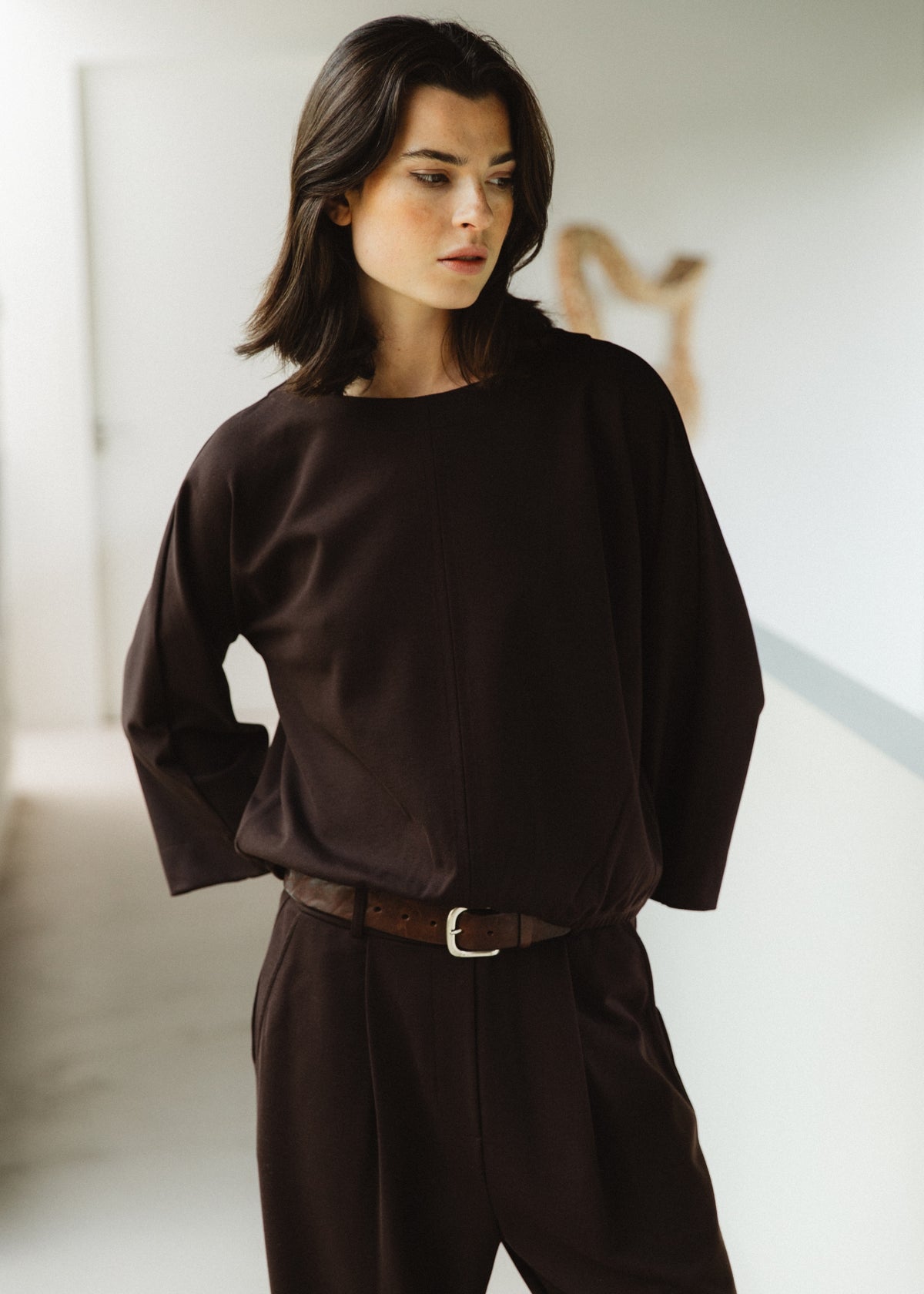 #color_dark brown