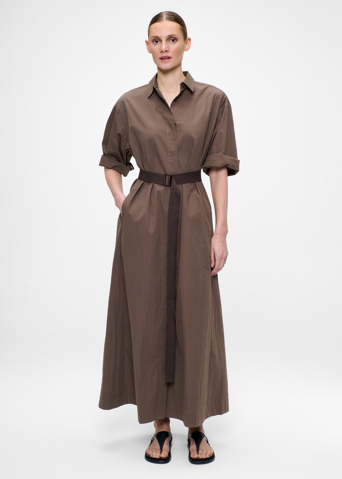 #color_havana brown